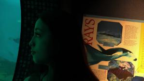 Mi Ha loves seeing the sites with you!