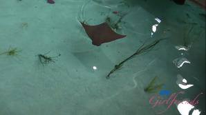 Summer Renee Norcal Part 9